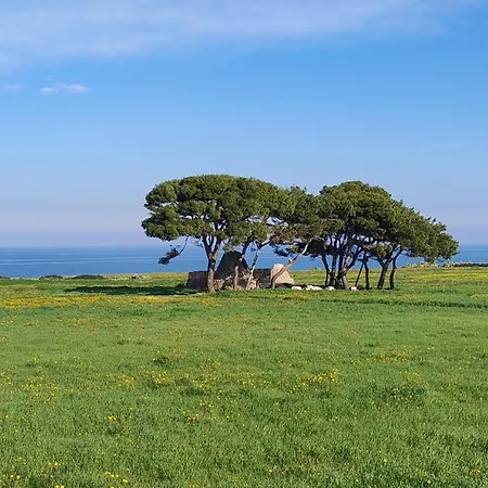 Appartamento Alba E Colori Di Puglia Conversano