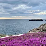 Alba E Colori Di Puglia *