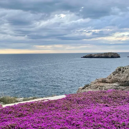 Alba E Colori Di Puglia *